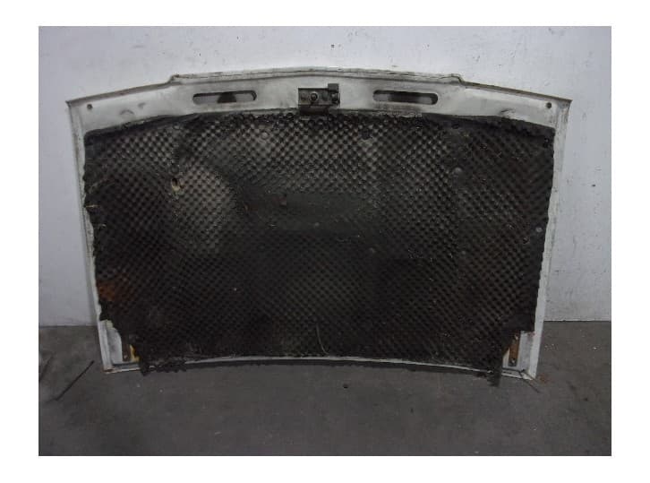 Recambio de capot para tata telcoline (40_fd) 2.0 tdic 4x4 referencia OEM IAM  BLANCO 2