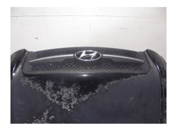 Recambio de capot para hyundai tucson (jm) 2.0 crdi referencia OEM IAM 664002E020 NEGRO 2