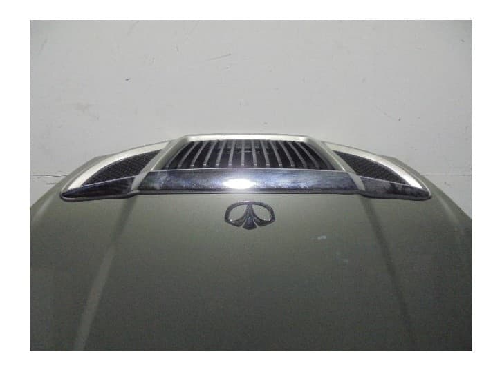 Recambio de capot para daewoo evanda (klal) 2.0 referencia OEM IAM 96327043 BEIGE 2