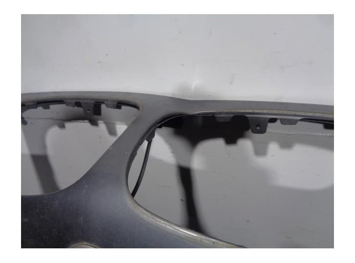 Recambio de capot para bmw x5 (e70) 3.0 d referencia OEM IAM 41617273439 GRUIS OSCURO 2