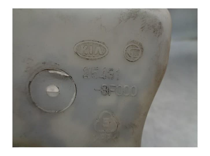 Recambio de deposito expansion para kia opirus (gh) 3.5 referencia OEM IAM 254313F000 4