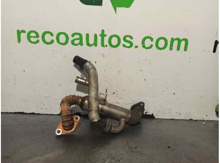 Recambio de enfriador egr para seat ibiza iii (6l1) 1.4 tdi referencia OEM IAM 045131513L