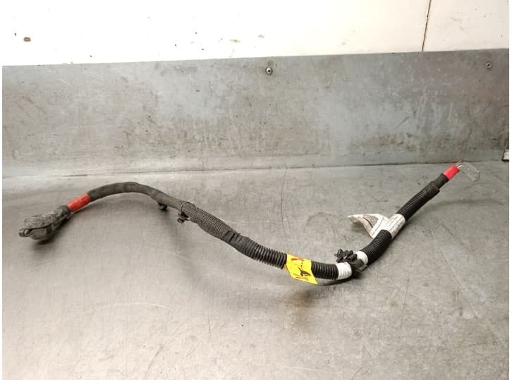 Recambio de cableado para fiat 500 (312_) electric (ev) referencia OEM IAM 00521390560 2
