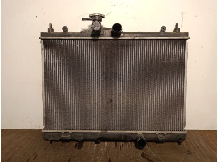 Recambio de radiador agua para nissan juke (f15) 1.6 referencia OEM IAM 21410EE000