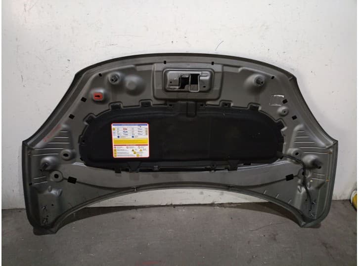 Recambio de capot para fiat 500x (334_) 1.0 (334.axn1b) referencia OEM IAM 52111389 52111389 2