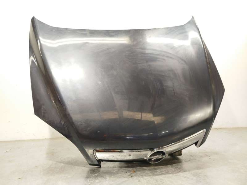 Recambio de capot para opel antara a (l07) 2.0 cdti referencia OEM IAM 4819345 95409819 - Gris