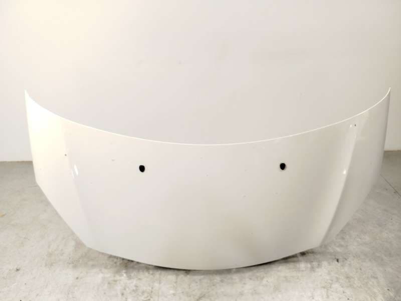 Recambio de capot para citroën c3 ii (sc_) 1.0 vti 68 referencia OEM IAM 7901R1 - Blanco