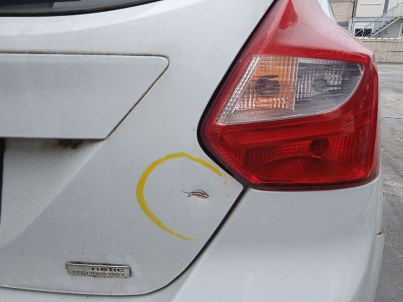 Recambio de porton trasero para ford focus iii 1.0 ecoboost referencia OEM IAM 1838957 - Blanco 6