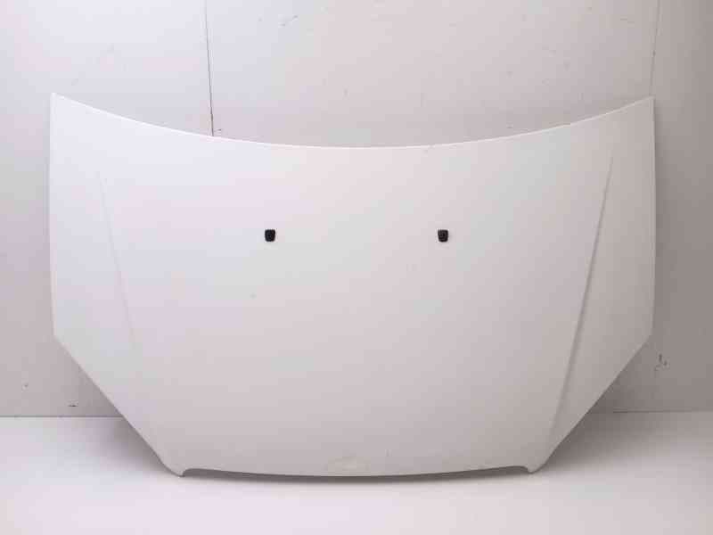 Recambio de capot para fiat doblo caja/chasis (263_) 1.3 d multijet referencia OEM IAM 51841326