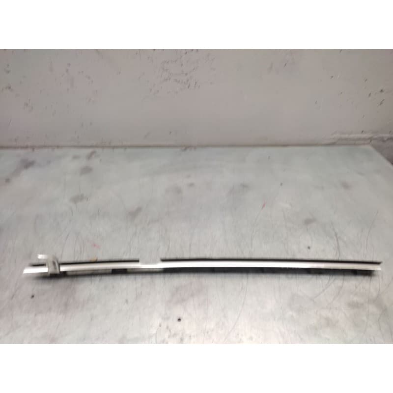 Recambio de moldura puerta trasera izquierda para bmw serie 5 berlina (e39) 530d referencia OEM IAM - Azul