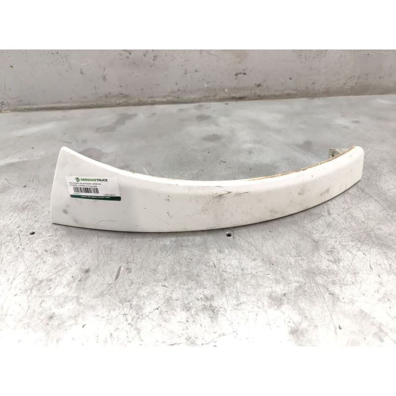 Recambio de molduras delanteras para citroën jumper iii furgoneta 2.2 hdi 100 referencia OEM IAM 1306528070 - Blanco
