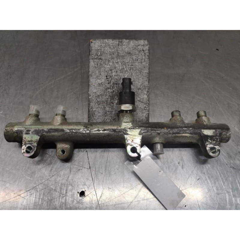 Recambio de rampa inyectora para fiat ducato furgoneta (244_) 2.8 td referencia OEM IAM 0445224009 - Blanco