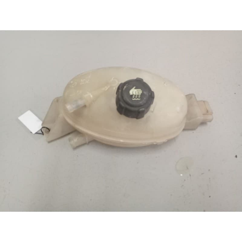Recambio de deposito expansion para renault master iii caja/chasis (ev, hv, uv) 2.3 dci 135 rwd (hv0n, uv0n) referencia OEM IAM - Blanco