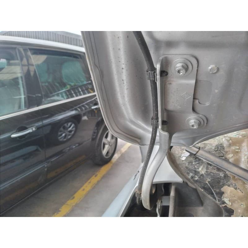 Recambio de bisagra capot derecha para renault captur ii e-tech engineered referencia OEM IAM - Gris