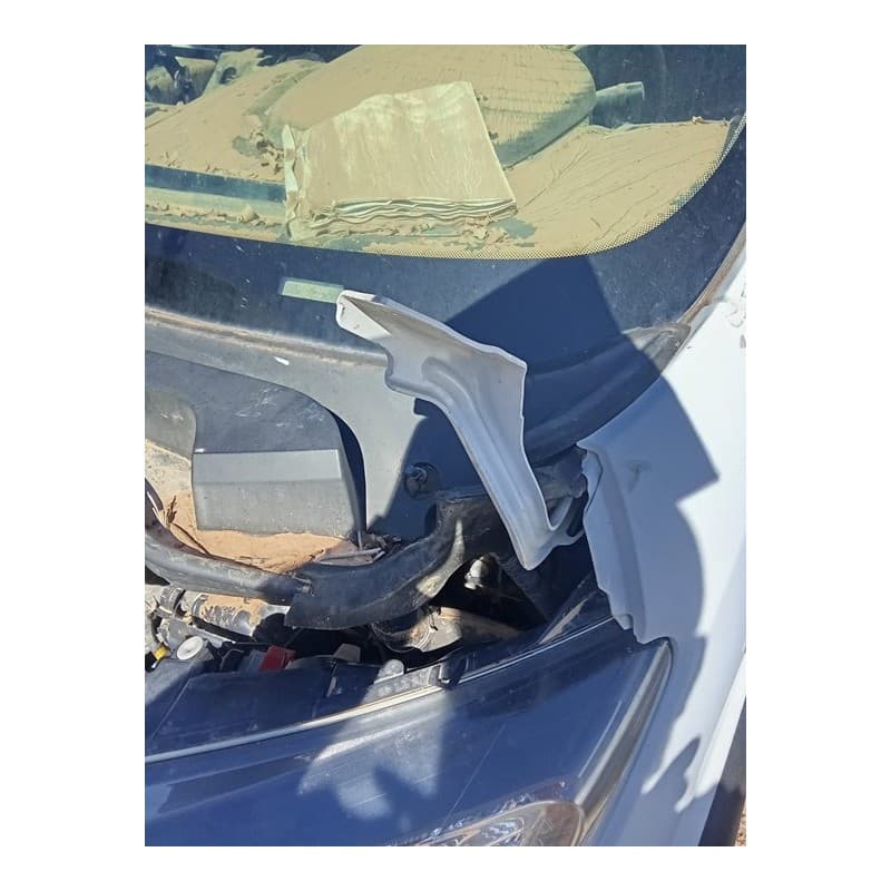 Recambio de bisagra capo izquierda para fiat ducato maxi chasis cabina 35 (290) l5 pritsche rs: 4035 mm 160 referencia OEM IAM - Blanco