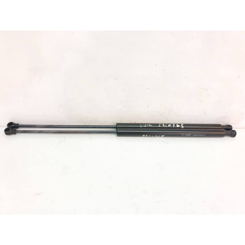 Recambio de amortiguadores maletero / porton para opel combo life expression referencia OEM IAM 9819028280 - Marrón