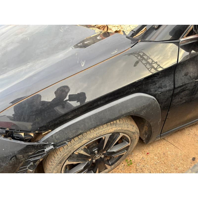Recambio de aleta delantera izquierda para lexus ux (za10) 250h referencia OEM IAM - Negro