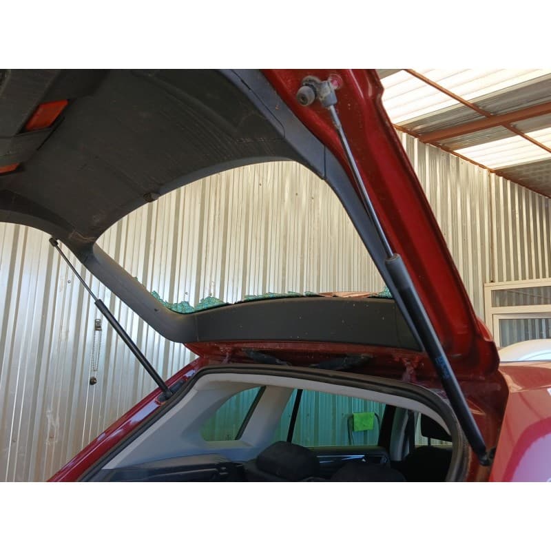 Recambio de amortiguadores maletero / porton para volkswagen tiguan (ad1, ax1) 2.0 tdi referencia OEM IAM - Rojo