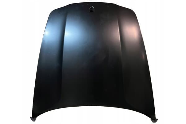 Cubierta del Capó Delantera Porsche Panamera 970 2010-2016 Nueva