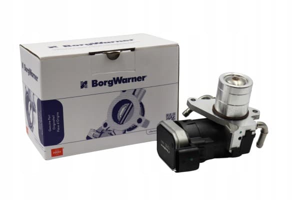 Válvula EGR BorgWarner OE (Wahler) 7375D para Opel y Saab usado
