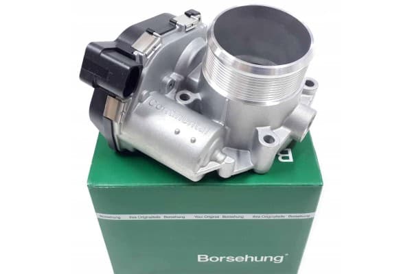 Borsehung B19171 Cuerpo de Aceleración usado