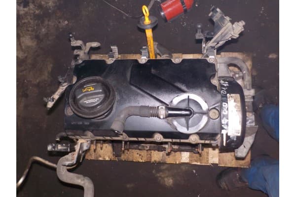 Motor Skoda Octavia 1.9 TDI 105 CV 2008 Ref. 038021CB usado