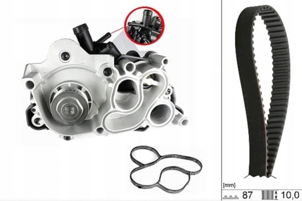 Kit de Correa de Distribución y Bomba de Agua Schaeffler Ina 530 0742 30 usado