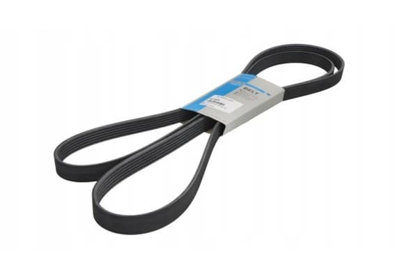 Correa Multi-Ranurada Thermo King usado
