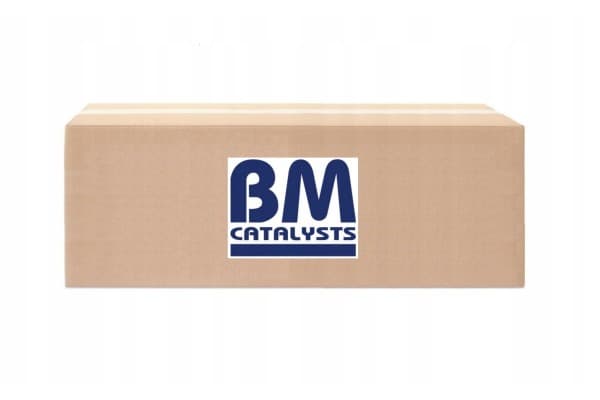 Filtro de partículas BM Catalysts BM11099HP para sistema de escape usado