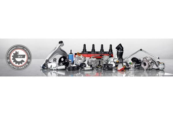 Sensor NOx Esen Skv 71SKV101 para convertidor catalítico NOx usado