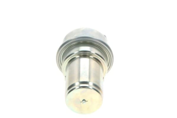 Acumulador de Presión de Combustible - Bosch 0 438 170 040 usado