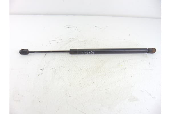 Amortiguadores maletero / porton, Ford Focus Berlina (Cak) Ambiente 1999 usado