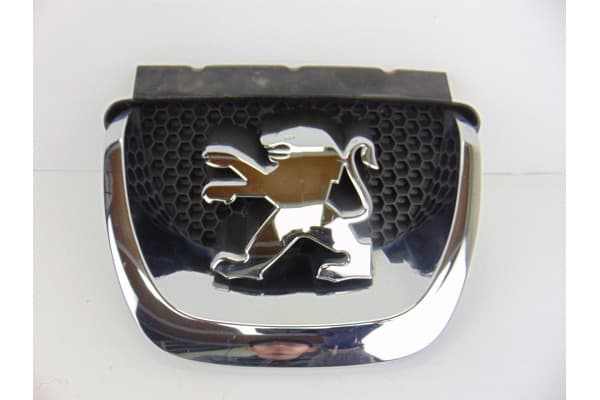 Rejilla delantera, Peugeot 308 Premium 2009, 9680505177 usado