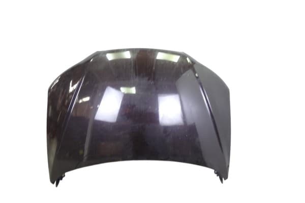 Capo, Hyundai Santa Fe (Cm) 2.2 CRDI Comfort 4X4 2009 usado