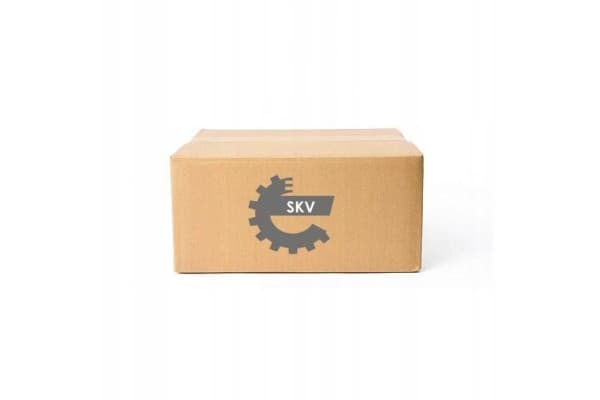 Catalizador Esen Skv 62SKV023 para Fiat y Suzuki usado