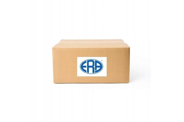 Era 775243 Conjunto de alimentación de combustible nuevo