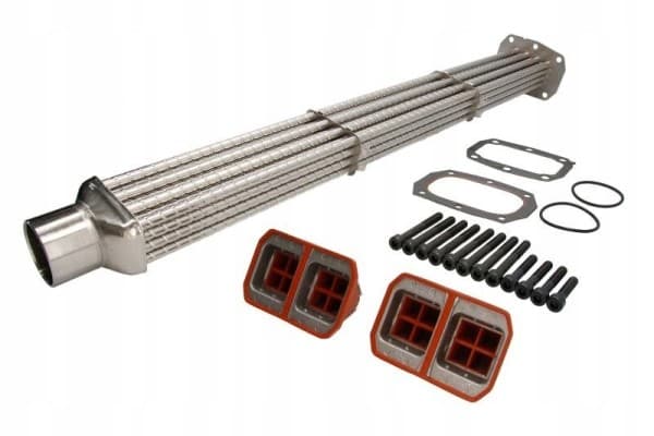 Kit de reparación del recirculador de gases de escape Man Tgl usado