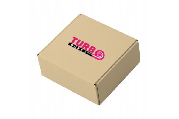 Regulador de Presión de Combustible Turboworks Cn-Fp-015 nuevo