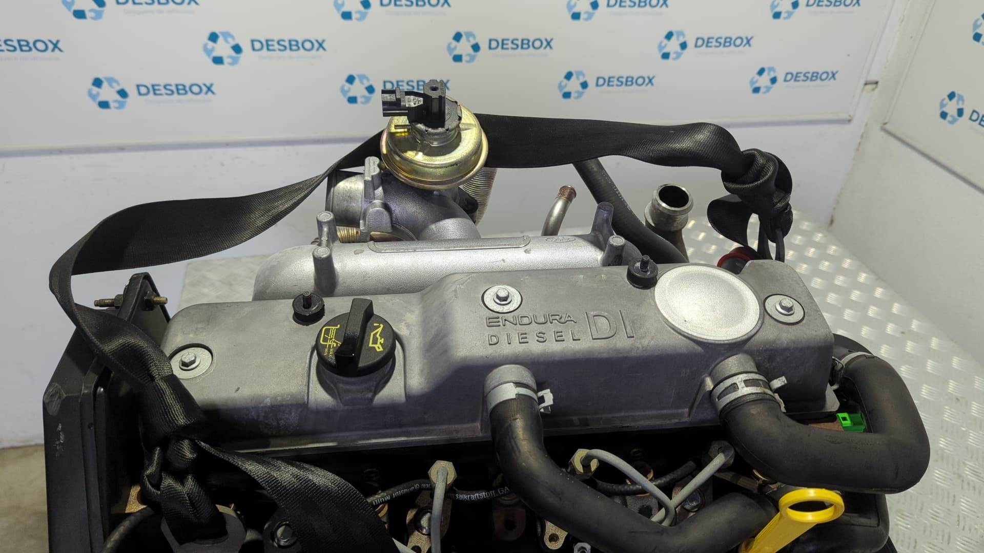 Recambio de MOTOR para FORD FOCUS BERLINA (CAK) C9DB referencia OEM IAM C9DB - NEGRO