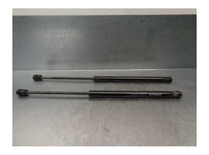 Recambio de amortiguadores maletero / porton para mercedes-benz clase c t-model (s202) c 220 t cdi (202.193) referencia OEM IAM