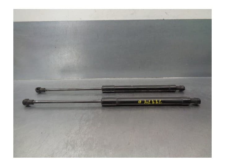 Recambio de amortiguadores capo para chevrolet epica (kl1_) 2.0 d referencia OEM IAM 96636673