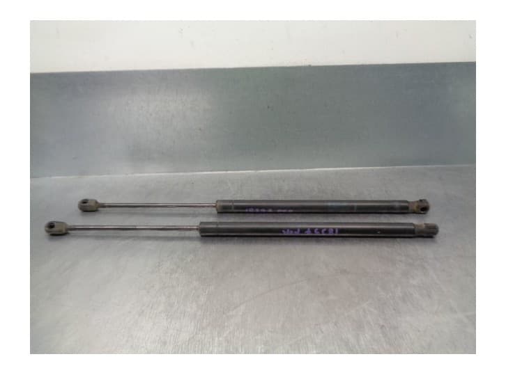 Recambio de amortiguadores maletero / porton para renault scénic ii (jm0/1_) 1.9 dci (jm14) referencia OEM IAM 8200616564