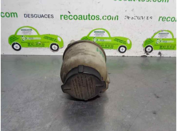 Recambio de deposito servo para nissan x-trail i (t30) 2.2 dci referencia OEM IAM 491804M403