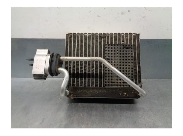 Recambio de evaporador aire acondicionado para ssangyong rexton w / rexton 2.0 xdi referencia OEM IAM 6810008414