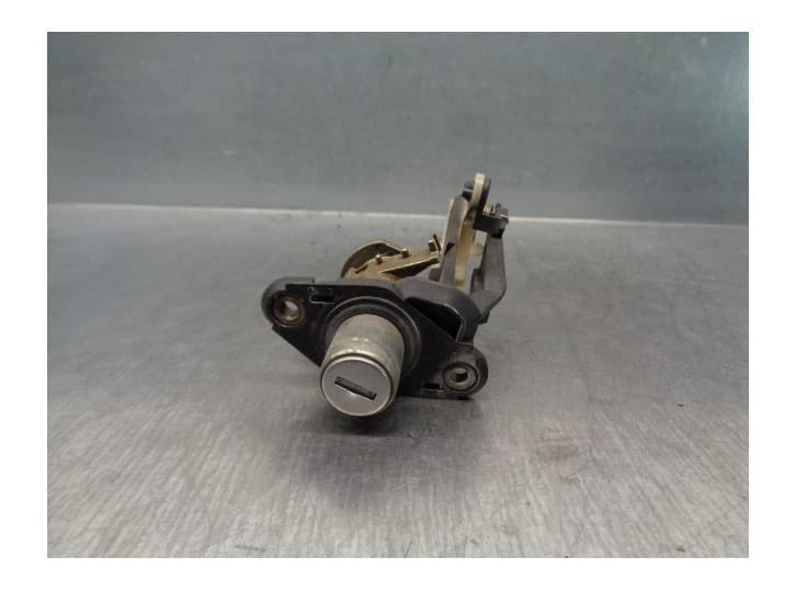 Recambio de maneta exterior porton para opel astra f hatchback (t92) 1.6 i 16v (f08, m08, f68, m68) referencia OEM IAM 4244229